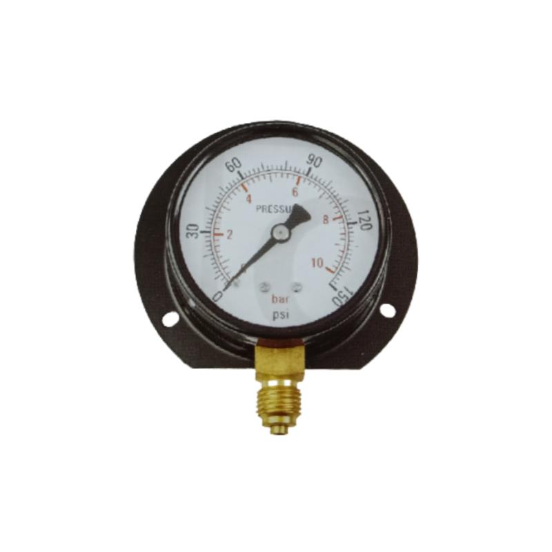 201C Press-on Mild Steel Case Standard Pressure Gauge