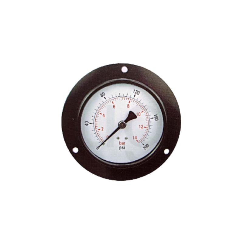 201F Press-on Mild Steel Case Standard Pressure Gauge