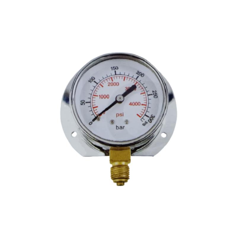 241C Press-on SS Case Standard Pressure Gauge
