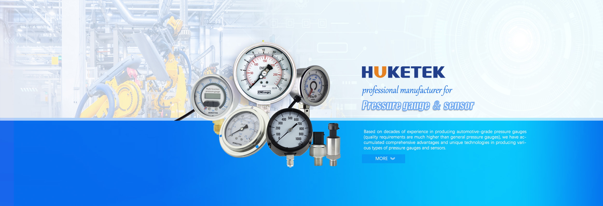 sensor, gauge